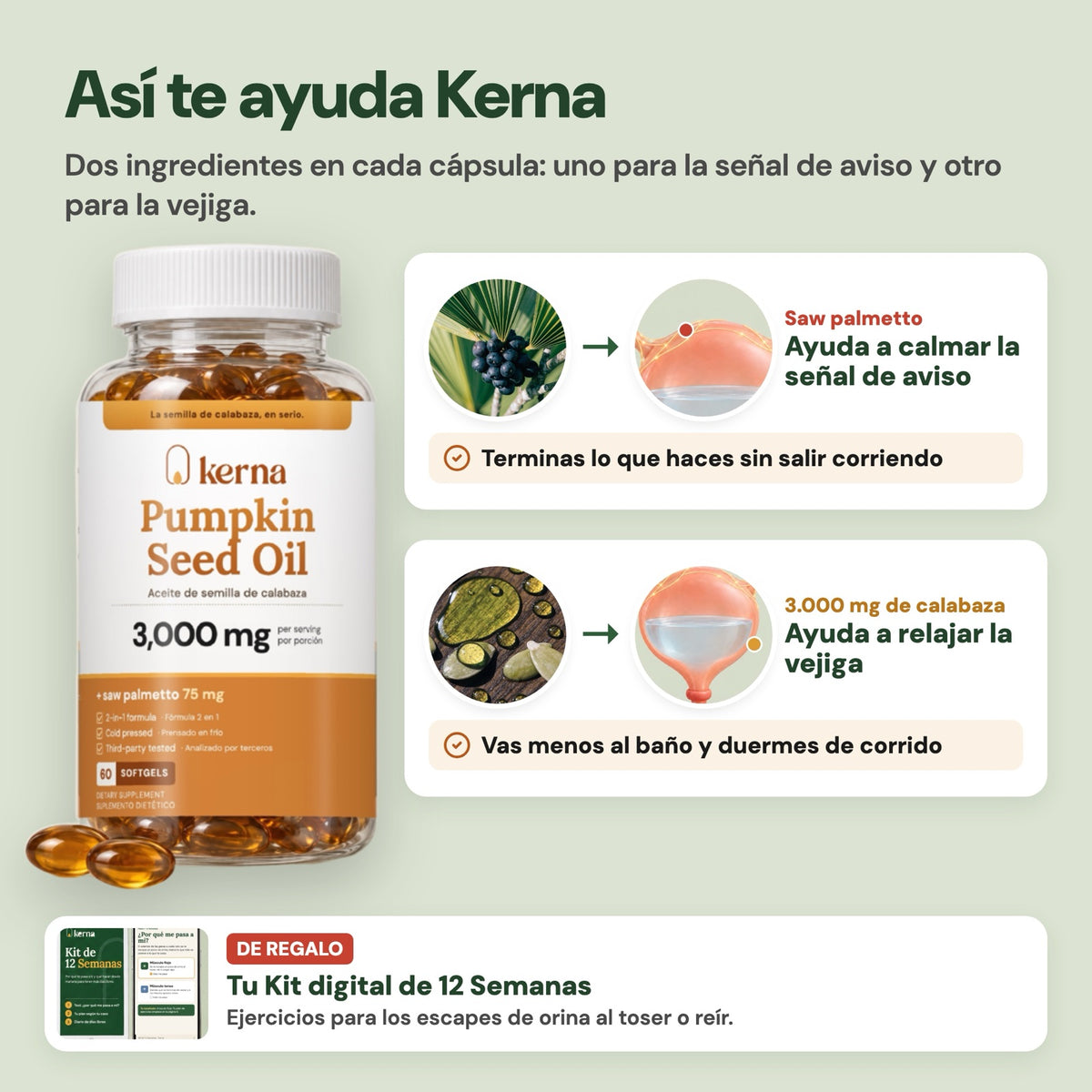 Cómo ayuda cada ingrediente de Kerna Daily